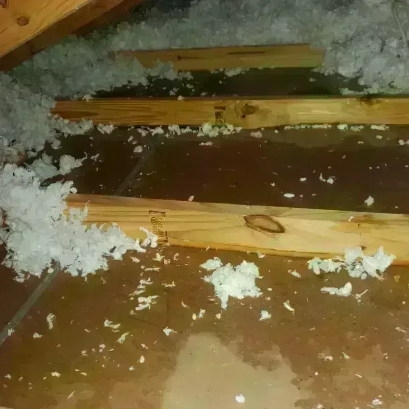 Attic Water Damage in Barboursville, WV